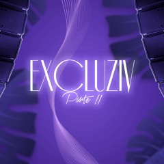 Exclusiv Party II