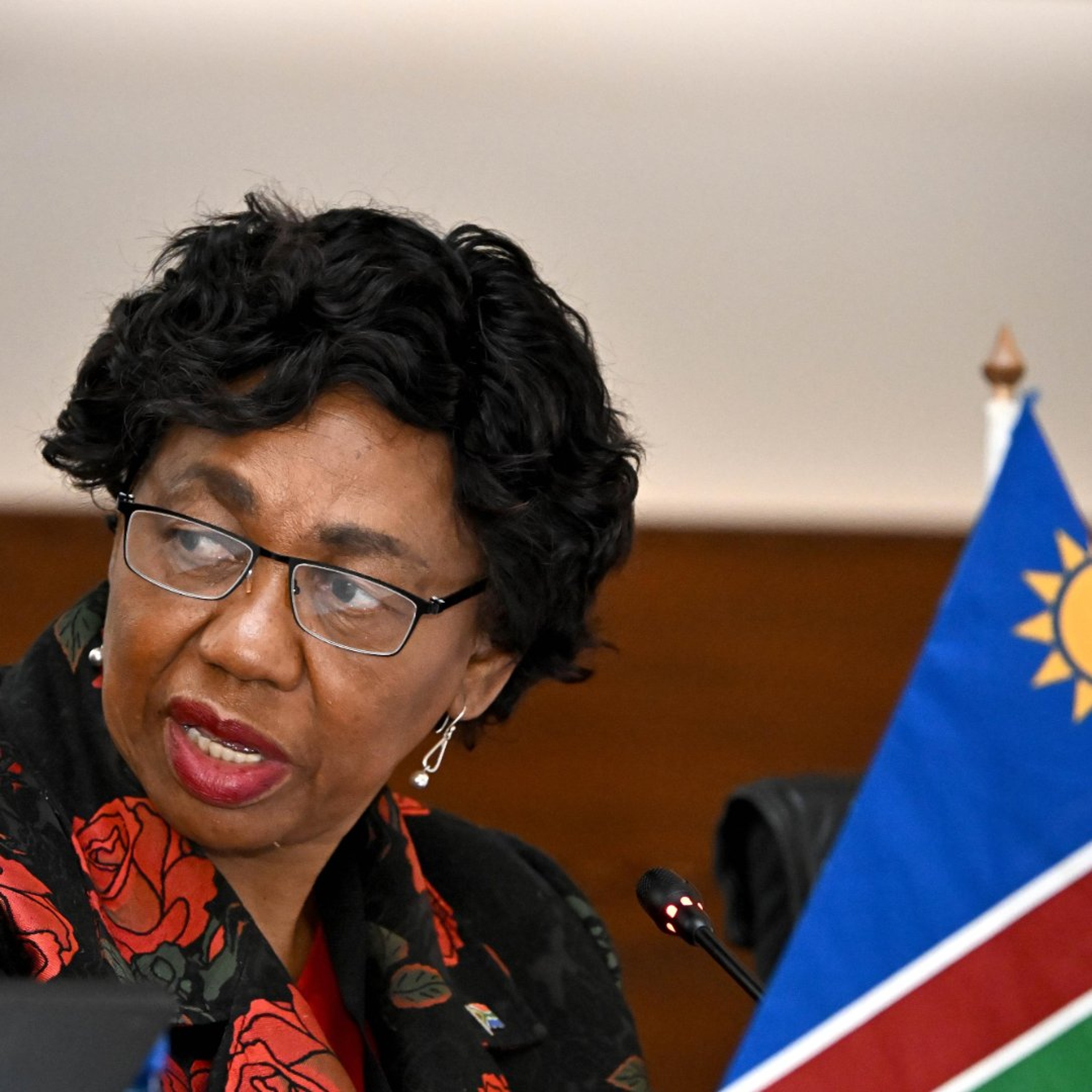 Minister Motshekga opening the Ministerial Session of the South Africa-Namibia Bi-National Commission
