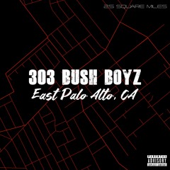 303 Bush Boyz (feat. Feast Salotti & Strike Mackin)