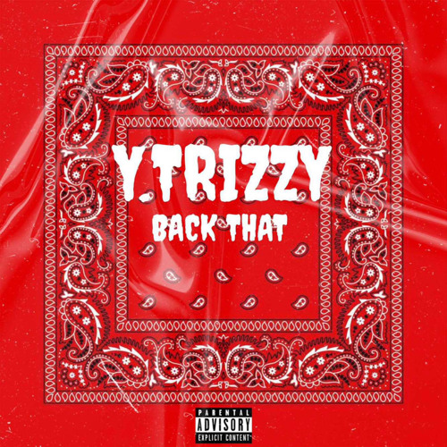 #AR9 Y.Trizzy - BACK THAT (Prod by £DZ)