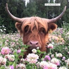 notlieu - flowers