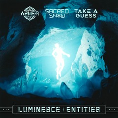 Sacred Snow X Take A Guess X Asher Shashaty - Luminesce Entities