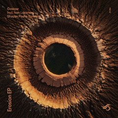PREMIERE : Gowzer - Erosion (Original Mix) [Transensations Records]