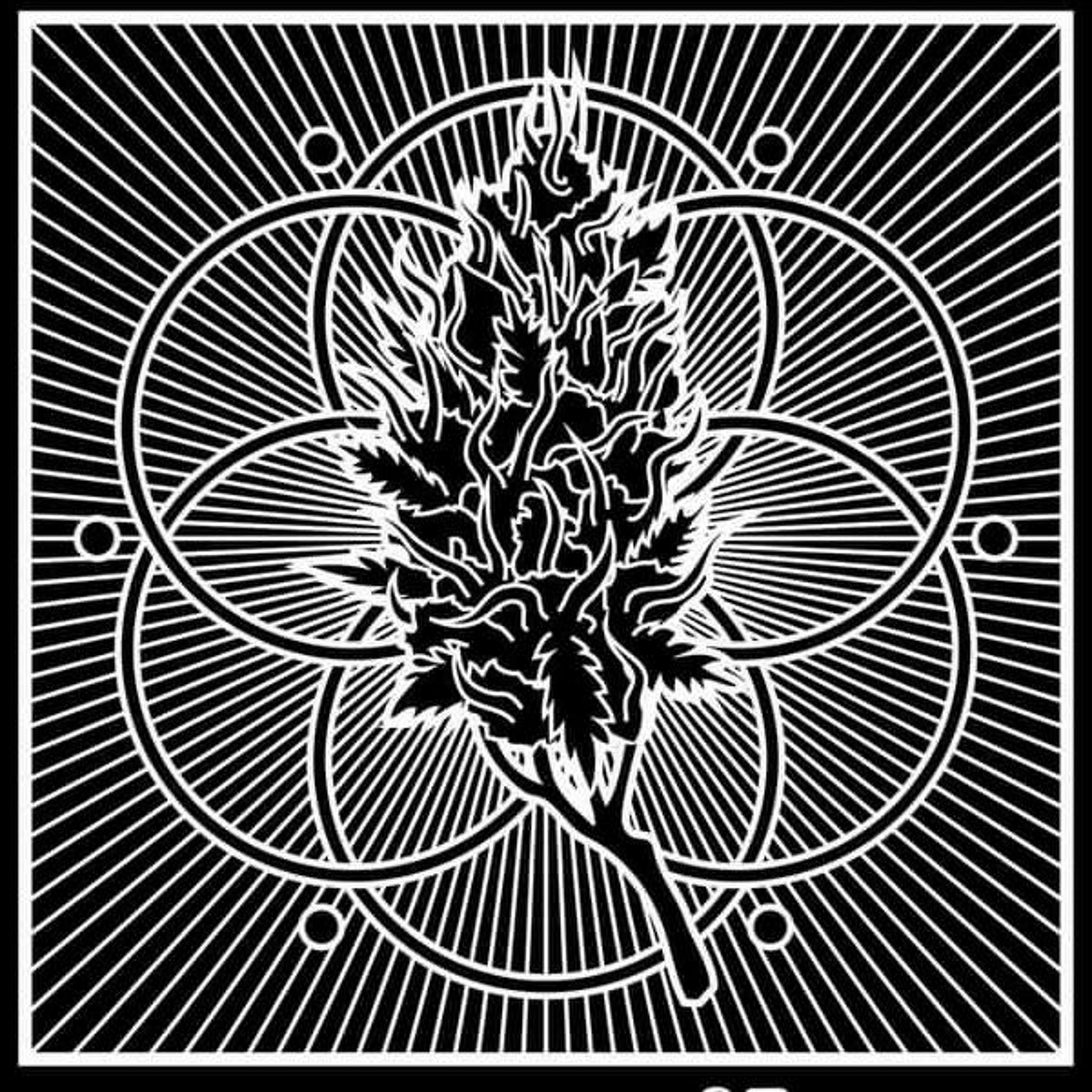 Explosion In Me (Original Mix) episode artwork