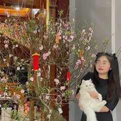 Đơn Côi Remix - Kiều Chi  Nhạc TikTok.m4r