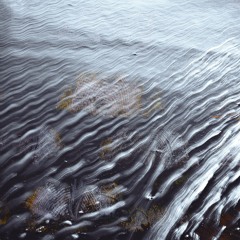 Contemplate (FREE DOWNLOAD)