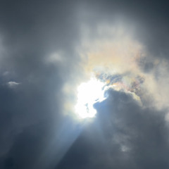 ICANTREMEMBERMYDREAMS