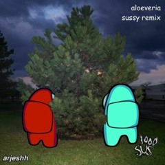arjeshh - among us (aloe hyperpop remix)