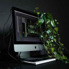 REMIXES
