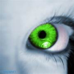Rhapsody in Green