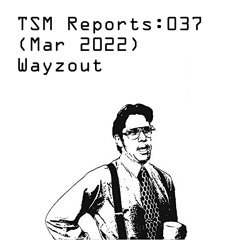 TSM Reports: 037 (Mar 2022) - Wayzout