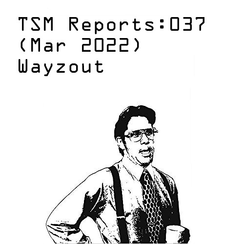 TSM Reports: 037 (Mar 2022) - Wayzout