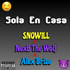 Alex Brize X NexB The Wolf X Snowill - Sola En Casa