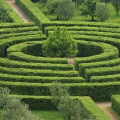 Labirinto Verde *PREVIEW*