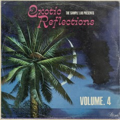 Exotic Reflections Vol. 4 - Preview (Lo-Fi)