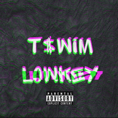 T$WIM- Lowkey