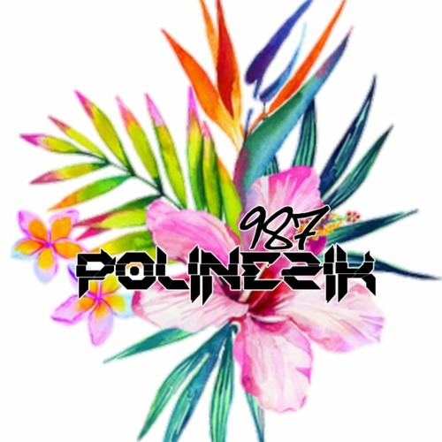 JEINO ❌ DJ JACKSIDE - Vien Sem Moin ( RMXZOUK ) 987 POLYNEZIK 2K20