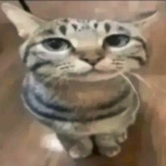 ROBLOX SPANISH AUDIO MAKER BYPASSED ID BY BIGBANDOH ULTRA MEGA RARE SUPER RARE LOUD