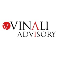 Vinali Advisory - Introduction AI Governance