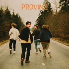 Provinz - Tanz Für Mich (René Janihsek DUB Mix)