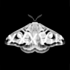 PREMIERE - The Noise Floor - TNF010121 (Katran Remix)