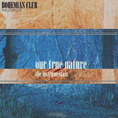 8. WDYWFM (Instrumental)