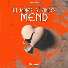 DT James & Kimbo - Mend