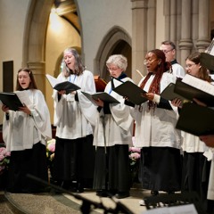 Halleluyah, Chim le, by C.N.Osinigwe