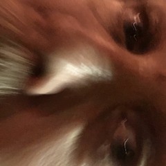 Hymns for the Psychedelic Papa (I'm A lizard, baby)