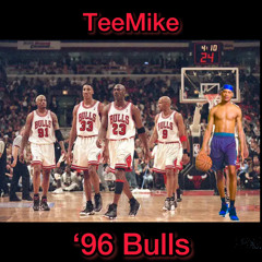 TeeMike- ‘96 BULLS