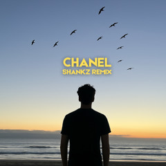 Frank Ocean - Chanel (Shankz Remix)