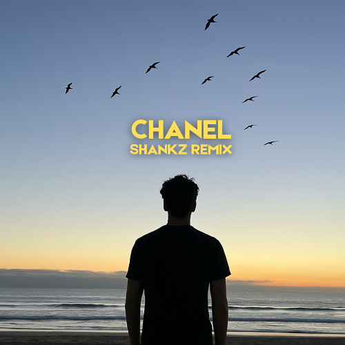 Frank Ocean - Chanel (Shankz Remix)