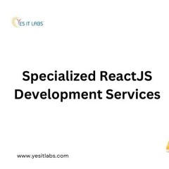 Choosing ReactJS Development Services For Your Business Success In 2024