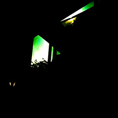 HOME (fern)