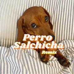 Perro Salchicha (Balada) (Remix)