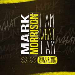 I Am What I Am (Robbie Rivera Extended Remix)