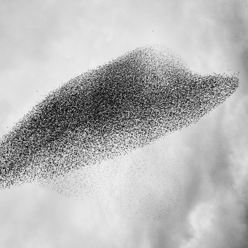 Depth Charge 08: Exhale