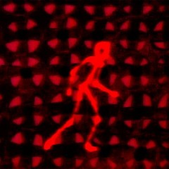 flatbush zombies -  afterlife (slowed + reverb)