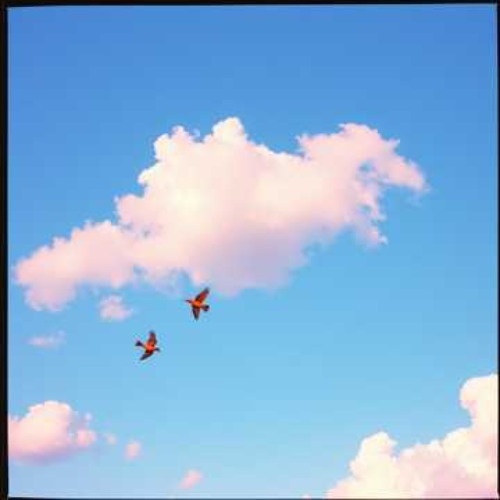 Fly and Feel Free 2.0 (Extended 120 BPM 3.0)