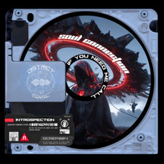 Introspection - If You Need Me Call (DCREP004)