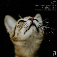 {Premiere} K2T - The Sound Of The Sea (Ben Rolo Remix) (Detached Audio)