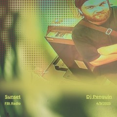 Sunset on FBI Radio - Dj Penguin (04/09/25)