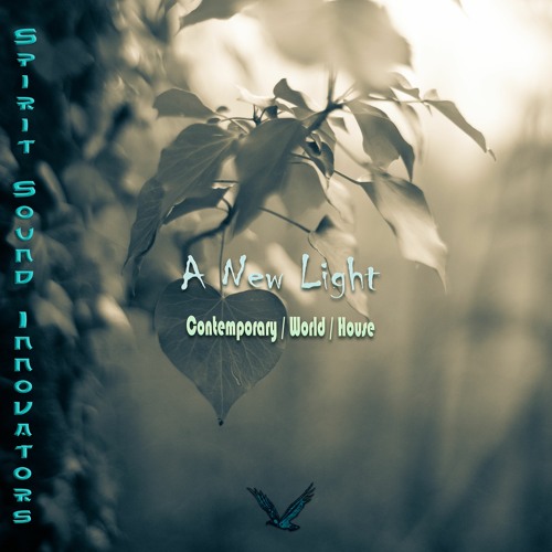 A New Light - Contemporary/World/House - EP Release 2022