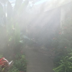 I Installed a Fog Machine in My Living Room