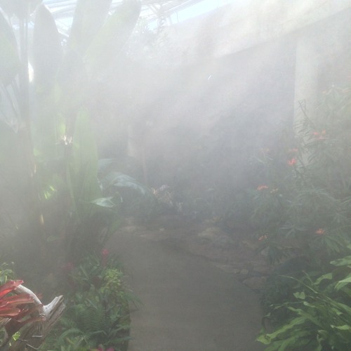 I Installed a Fog Machine in My Living Room