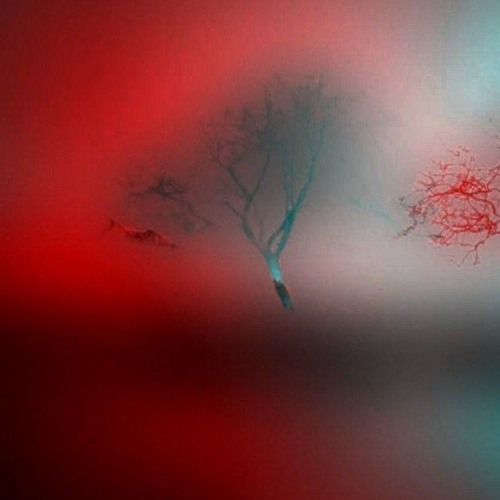 08.24 NEW RELEASES