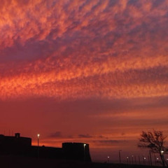 ‎⁨سورة طه - الشيخ ياسر الدوسري - بجودة عالية 💕HD⁩