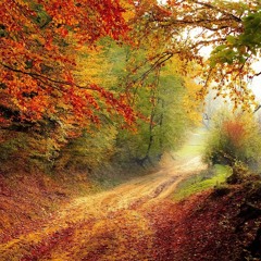 Autumn Dream