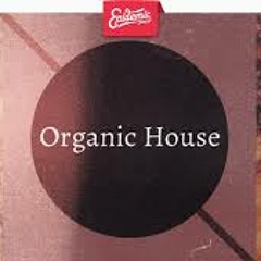 ORGANIC HOUSE Vol 3