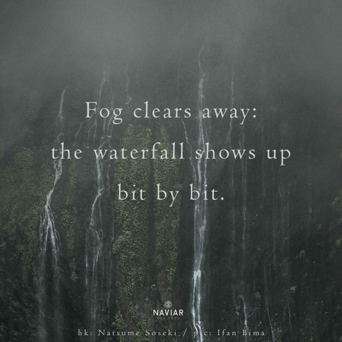 Fog Clears Away (Naviarhaiku 564)